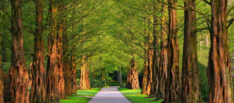 Pathways to Recovery: Evidence-Based Approaches to Drug Addiction Treatment